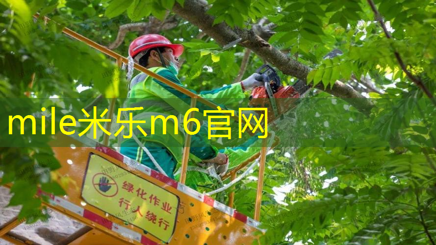 米乐m6官网：用自行车做网球拍