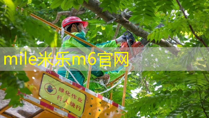 mile米乐m6官网：网球拍初学者选修课