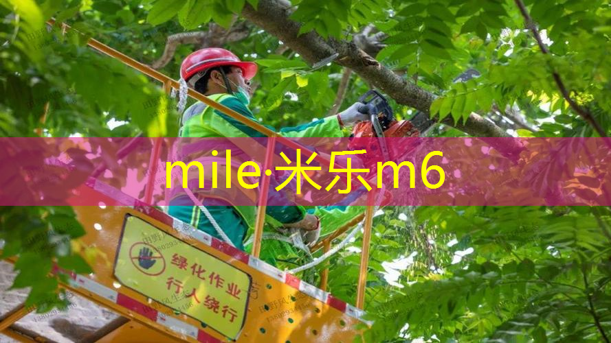 mile·米乐m6：网球拍是这么用的吗_