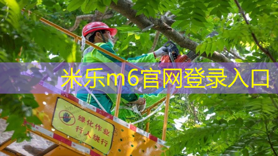 米乐：网球拍穿钢线好不好