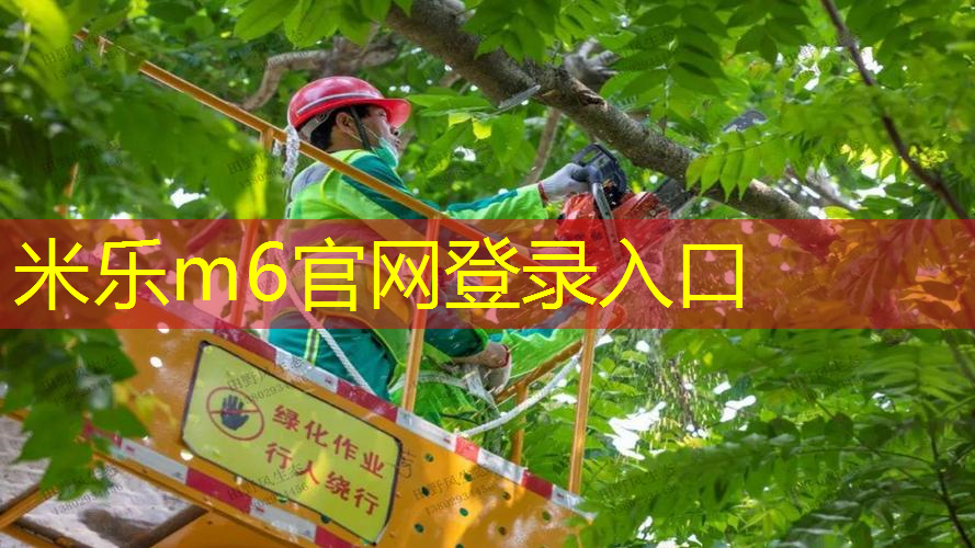 米乐：驰胜迪网球拍怎么样