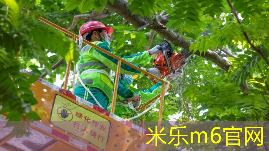 打旋转网球拍怎么选尺寸