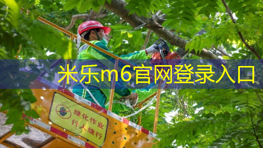 网球拍不加避震器会怎么样