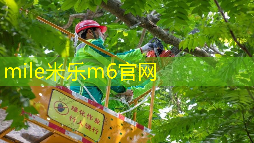 mile·米乐m6：反手怎么接网球拍子线