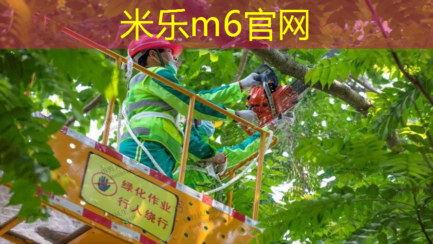 米乐m6官网：威尔逊网球拍磅数低