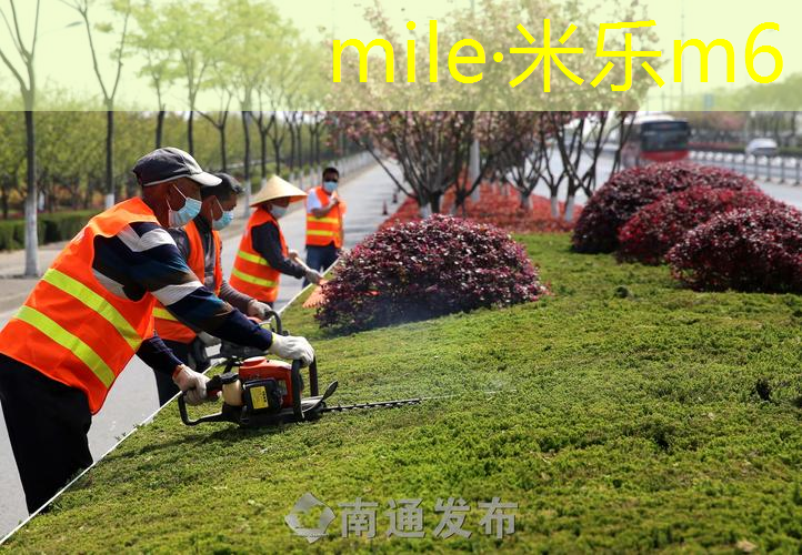 米乐m6官网：小丸子花轮城崎网球拍