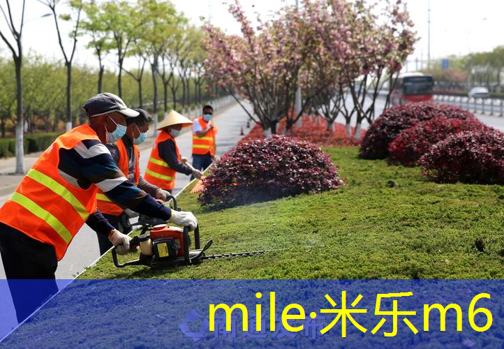 米乐m6官网：单个软手柄网球拍能用吗_