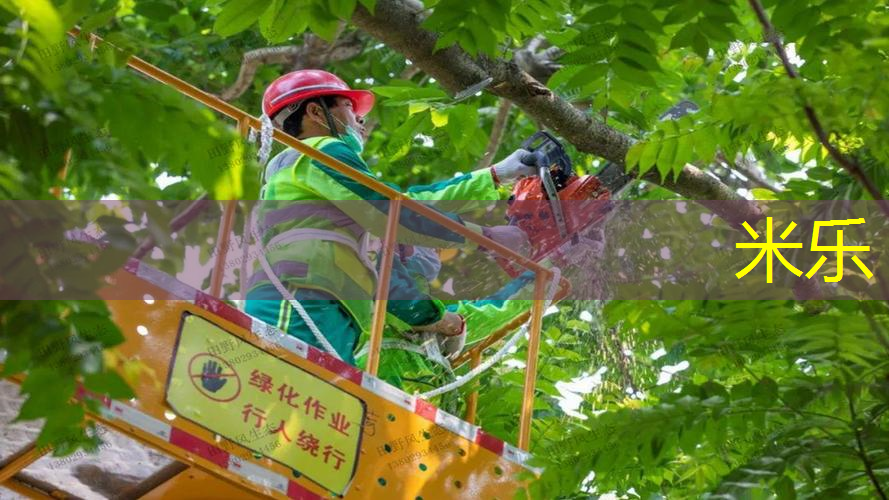 米乐m6官网：男士怎么选网球拍好用