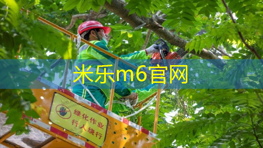 施耐德和德尔惠哪个网球拍好