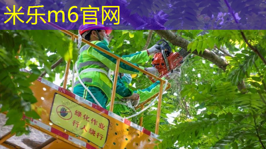 mile·米乐m6：大坂直美用什么网球拍