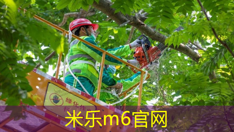 米乐m6官网登录入口：网球拍轻拍头有哪几款好