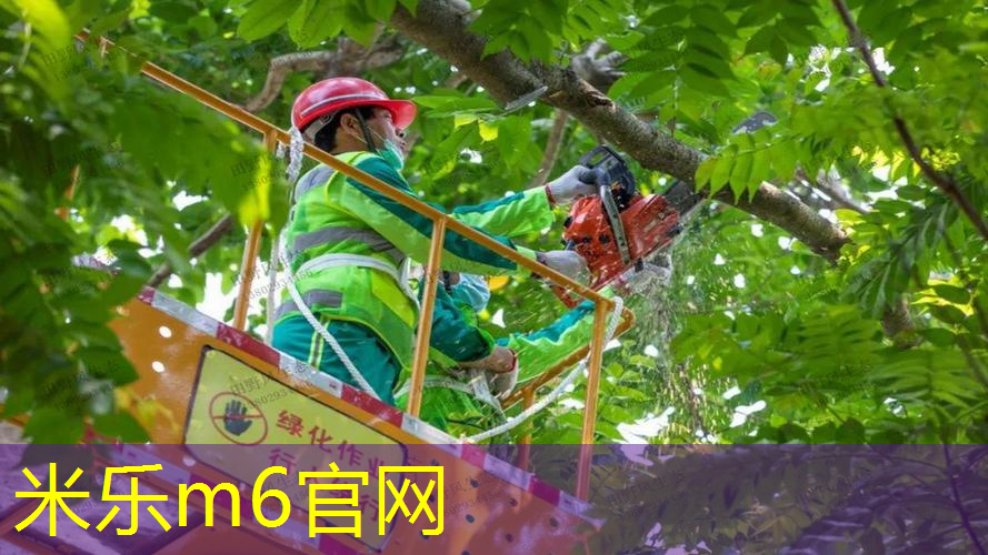 米乐m6官网登录入口：进阶合适自己的网球拍有哪些
