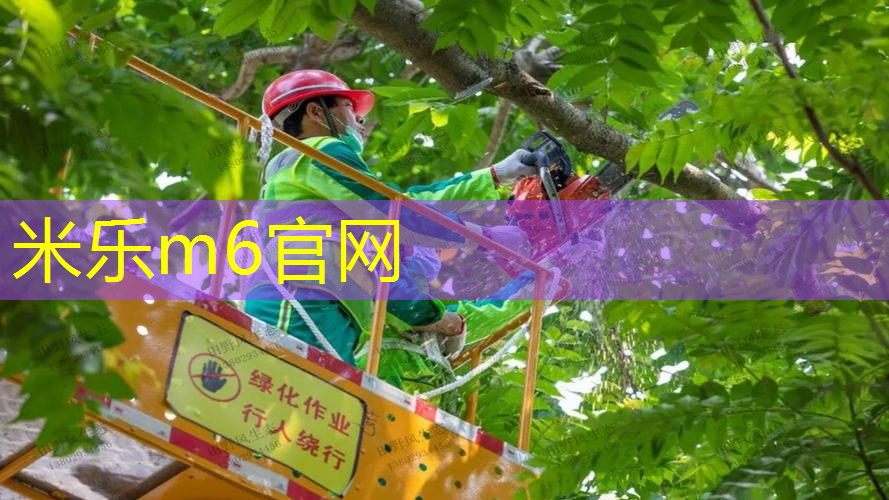 室内燃脂健身计划男生女生