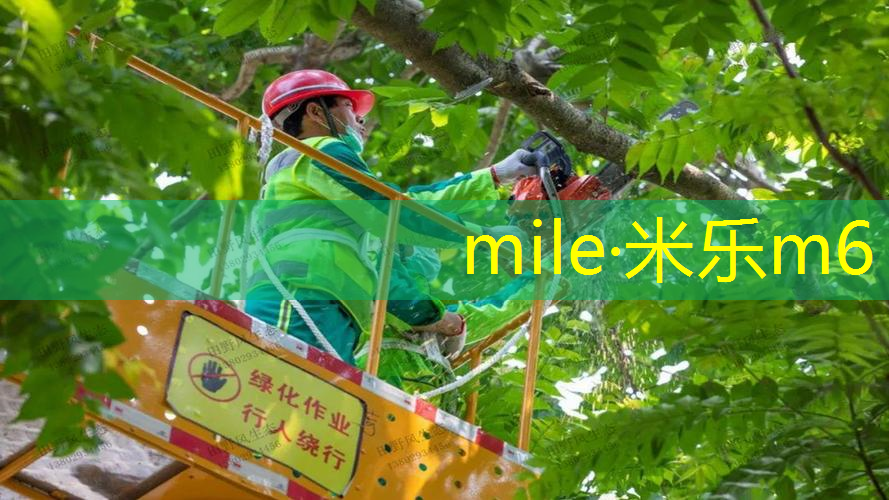 乒乓球台比赛高