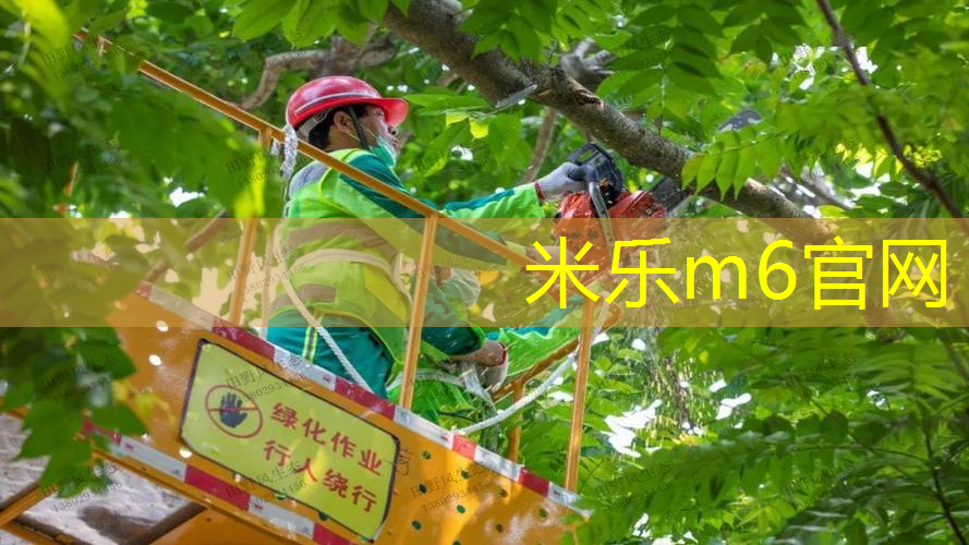 米乐m6官网登录入口：普锐斯健身室内游泳的介绍