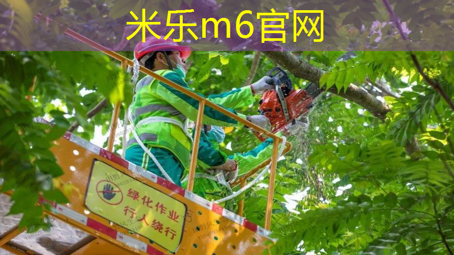 室内健身女士器材推荐