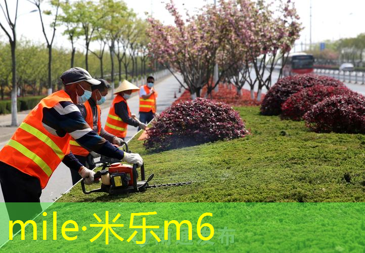 米乐m6官网：室内健身器材拉力器