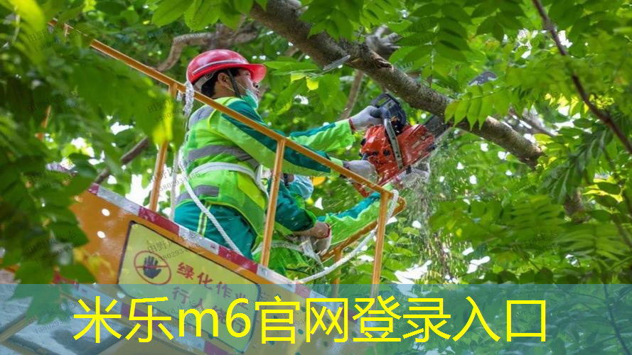 米乐m6官网：室内健身器械数据库管理
