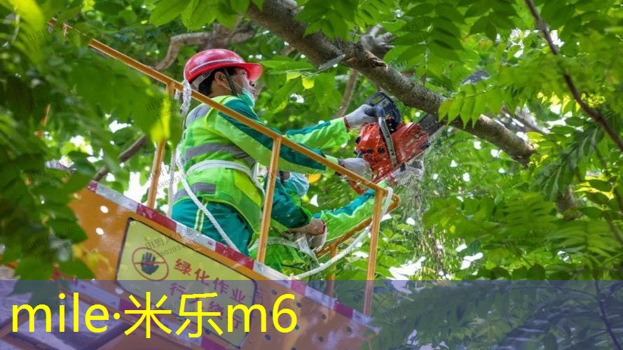 米乐：独家揭秘：室外体育健身器材报废年限到底有多久？