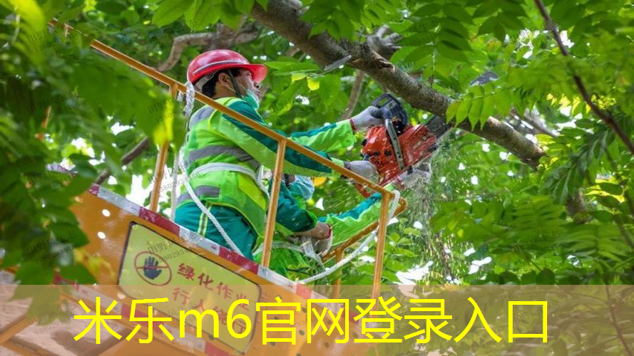 米乐m6官网：乒乓球台厚度选多少寸