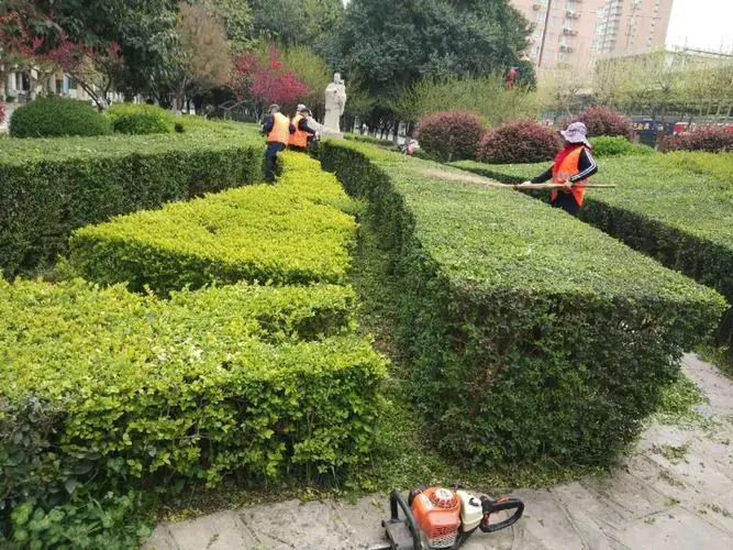 成年网球拍初学者什么型号