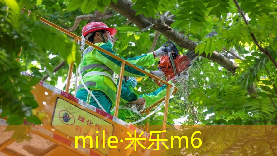 网球拍初学者选修课