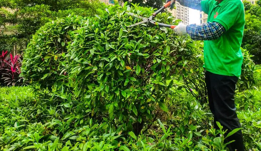 网球拍小黑白拍系列区别
