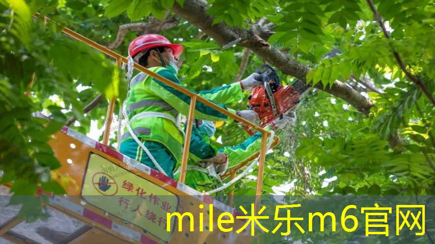 网球拍是这么用的吗_