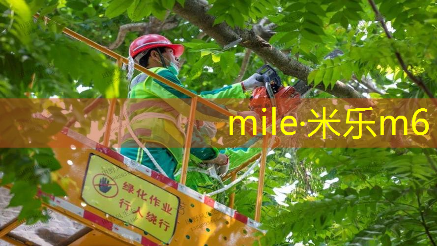 网球拍穿钢线好不好