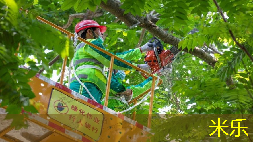 网球拍挂墙收纳方法图解