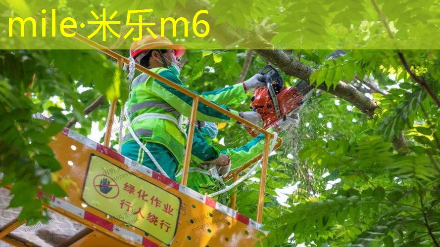 驰胜迪网球拍怎么样