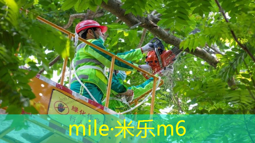 网球拍不加避震器会怎么样