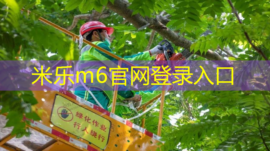 威尔逊网球拍磅数低