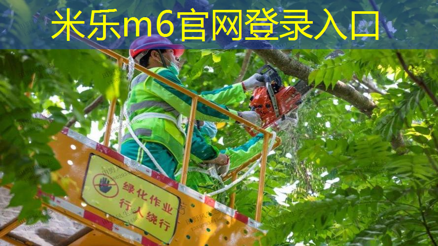 26寸网球拍98拍面