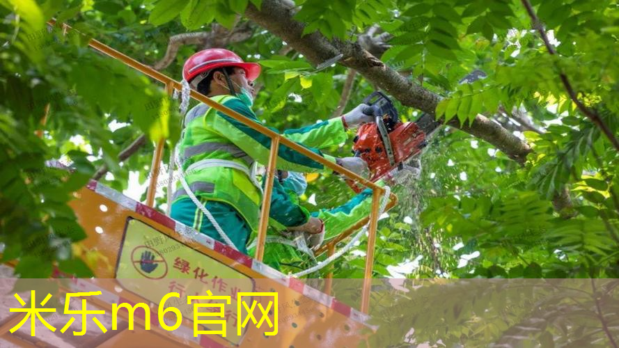 网球拍大号尺寸选择表图