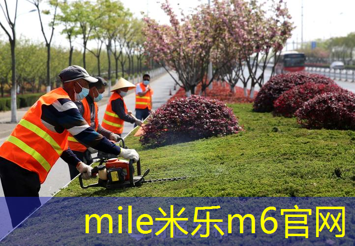 单个软手柄网球拍能用吗_