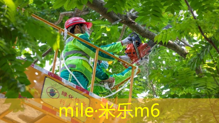 男士怎么选网球拍好用