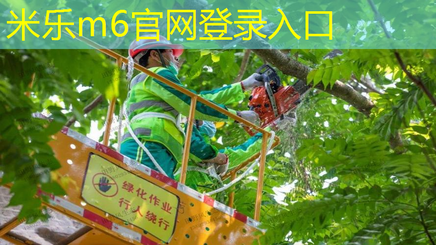 施耐德和德尔惠哪个网球拍好