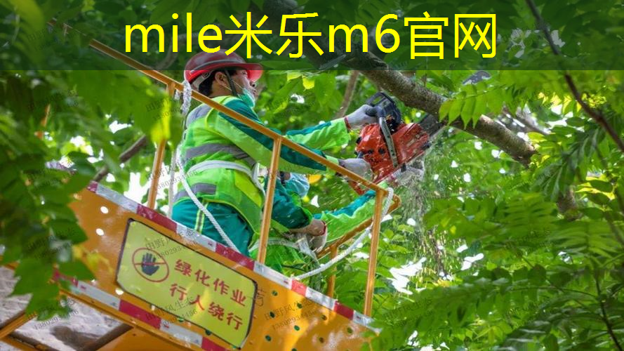 大坂直美用什么网球拍