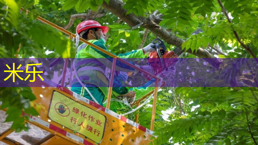 网球拍轻拍头有哪几款好