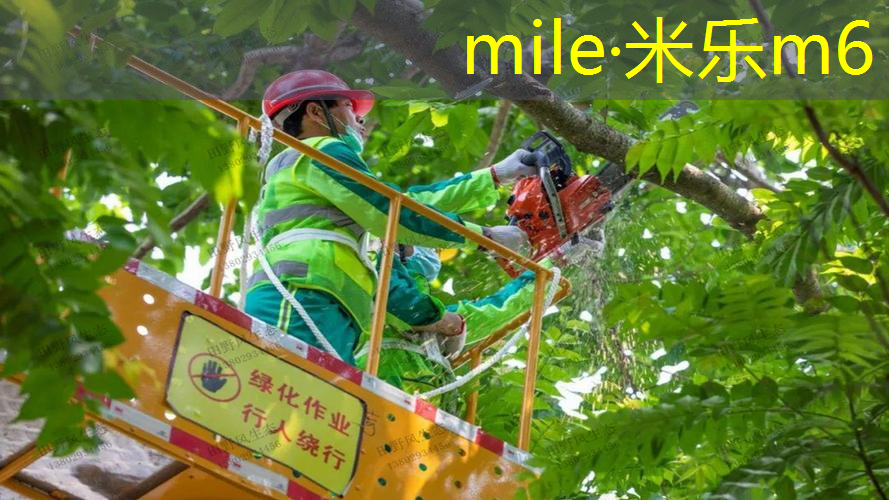 进阶合适自己的网球拍有哪些