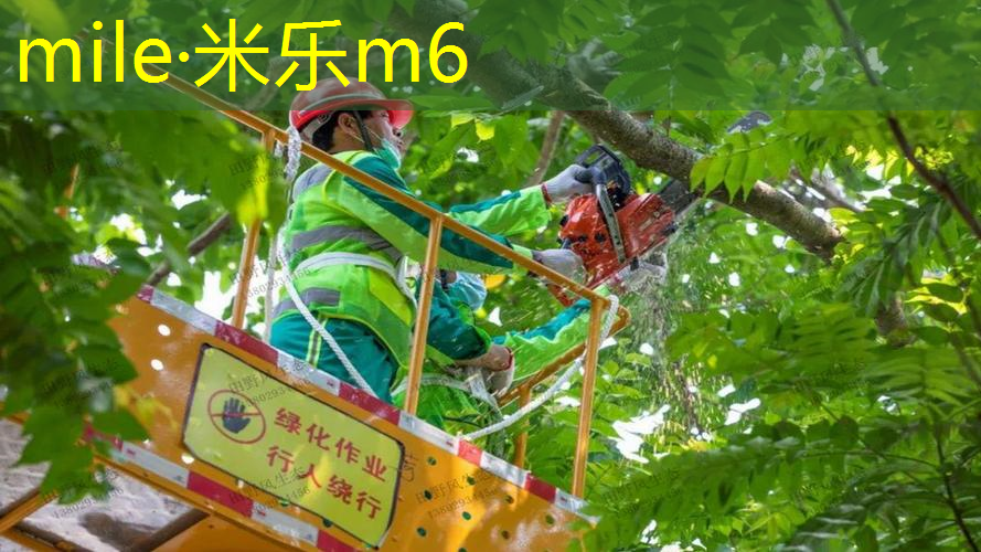 室内燃脂健身计划男生女生
