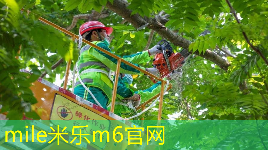 普锐斯健身室内游泳的介绍