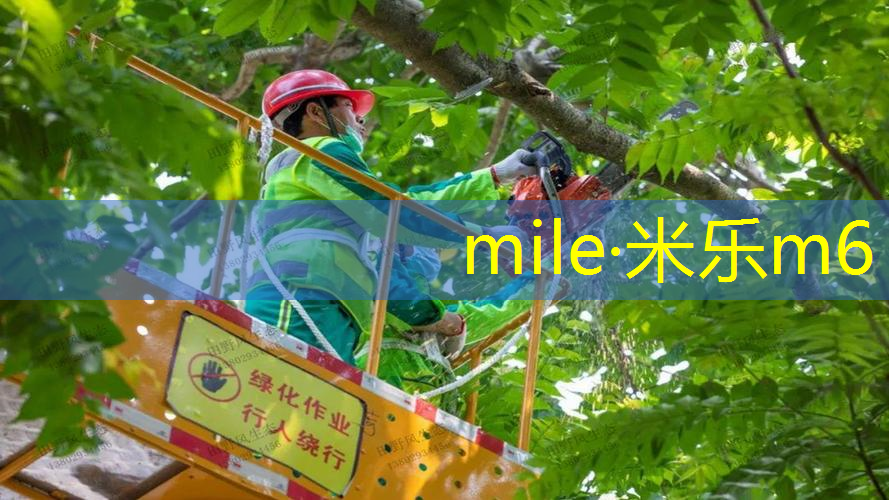 室内健身女士器材推荐