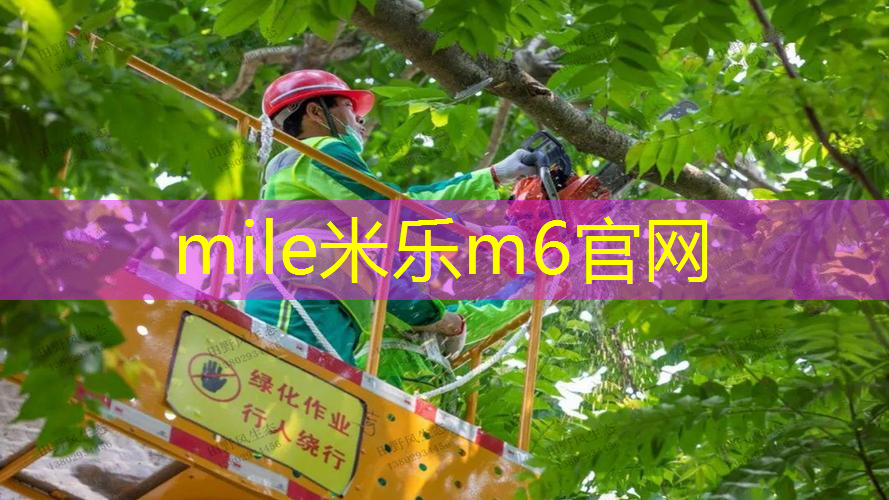 室内健身器械数据库管理