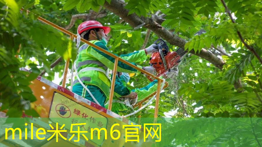 篮球器材规格
